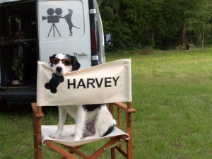 Sykes as Harvey